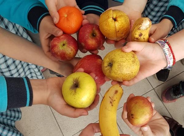 Yenikent ilk ve Ortaokulu "Beslenme Dostu Okuluz"projesini uygulamaya başladı